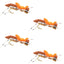 4-Pack Premium Foam Grasshopper Flies - Size 10 for Trout & Bass - Korvel