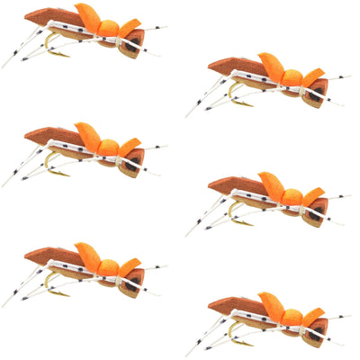 Premium Moorish Hopper Foam Dry Flies - 6 Pack, Size 10 - Korvel