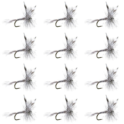Classic Mosquito Dry Fly Fishing Flies - 1 Dozen Size 16 - Korvel