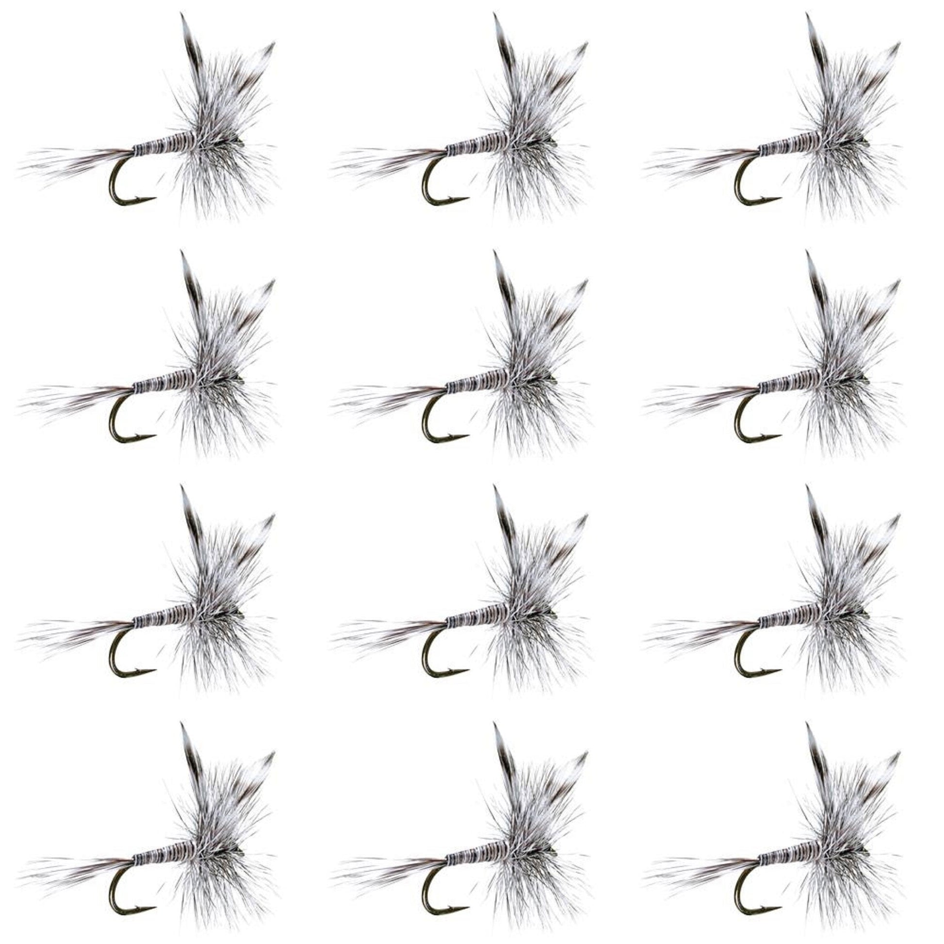 Classic Mosquito Dry Flies for Trout Fishing - 12 Pack Size 14 - Korvel