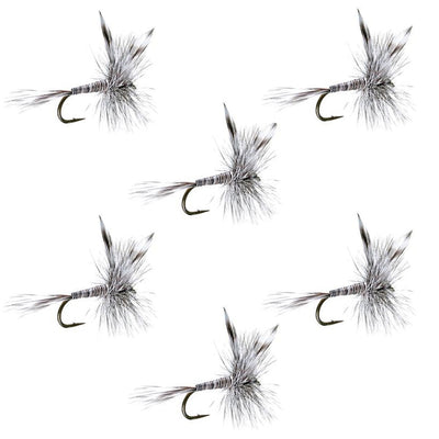 Classic Mosquito Dry Fly Fishing Flies - Pack of 6 Size 10 - Korvel