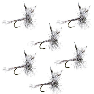Barbless Mosquito Dry Fly Set - 6 Size 14 Trout Flies for Catch & Release - Korvel