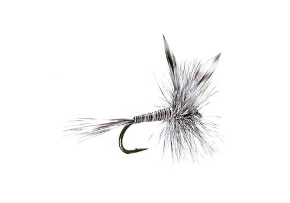Classic Mosquito Dry Flies for Trout Fishing - 12 Pack Size 14 - Korvel