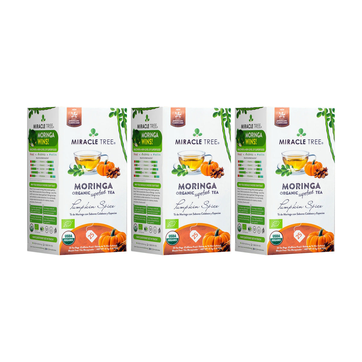 Thé Moringa Bio avec Épices de Citrouille