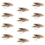 Premium Muddler Minnow Fly Fishing Flies - 12 Classic Streamers for Bass & Trout - Size 4 - Korvel