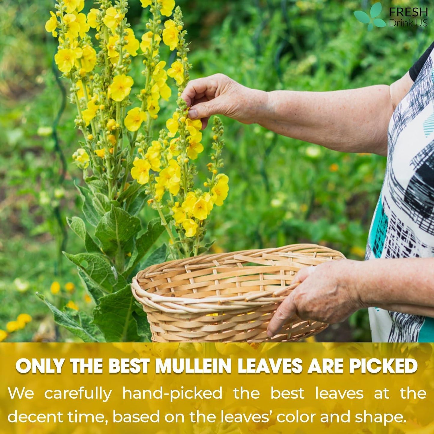 Premium Mullein Leaf Tea Bags - 100% Natural & Pure