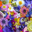 Tela de algodón de fondo ancho Multi Floral Kaleidoscope por yarda