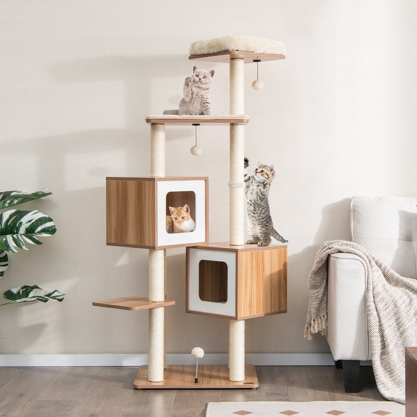 Arbre à chat en bois moderne avec condos et coussins lavables