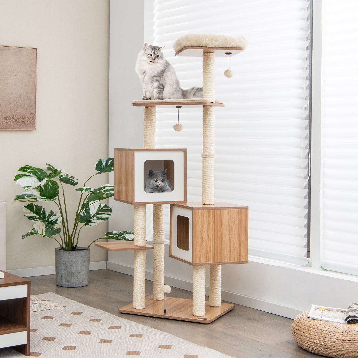 Arbre à chat en bois moderne avec condos et coussins lavables