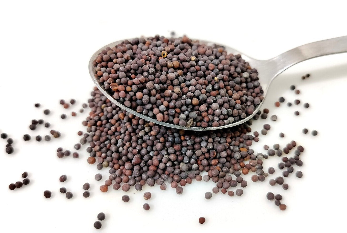 Whole Mustard Seeds - Flavorful Spice for Culinary Delights - Korvel