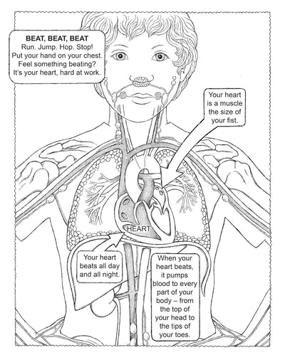 Discover the Wonders of the Human Body: A Fun Coloring Adventure - Korvel