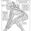 Discover the Wonders of the Human Body: A Fun Coloring Adventure - Korvel