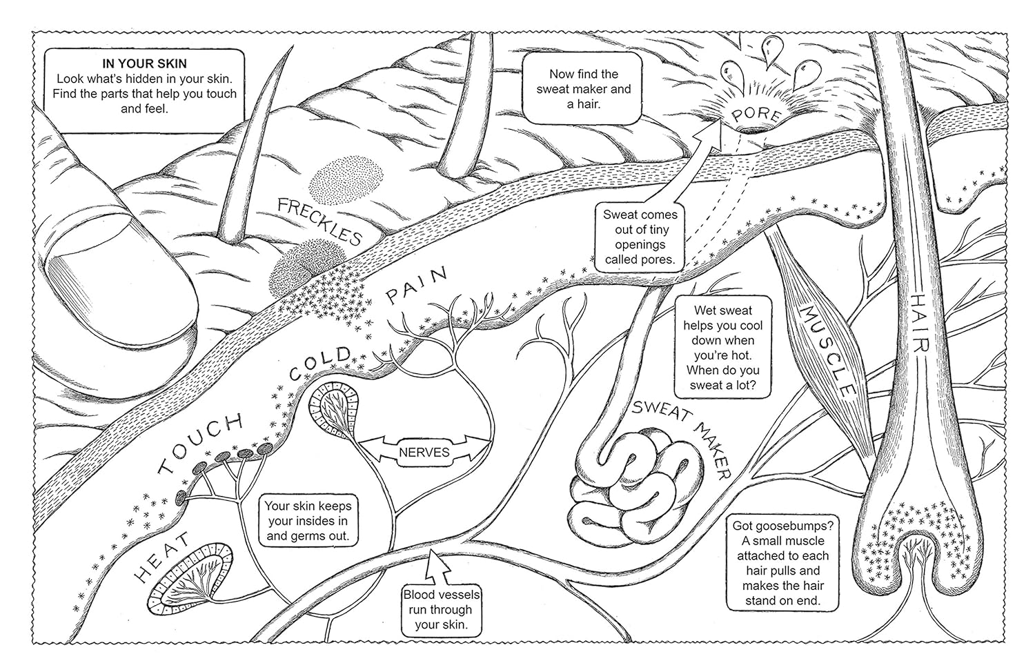 Discover the Wonders of the Human Body: A Fun Coloring Adventure - Korvel