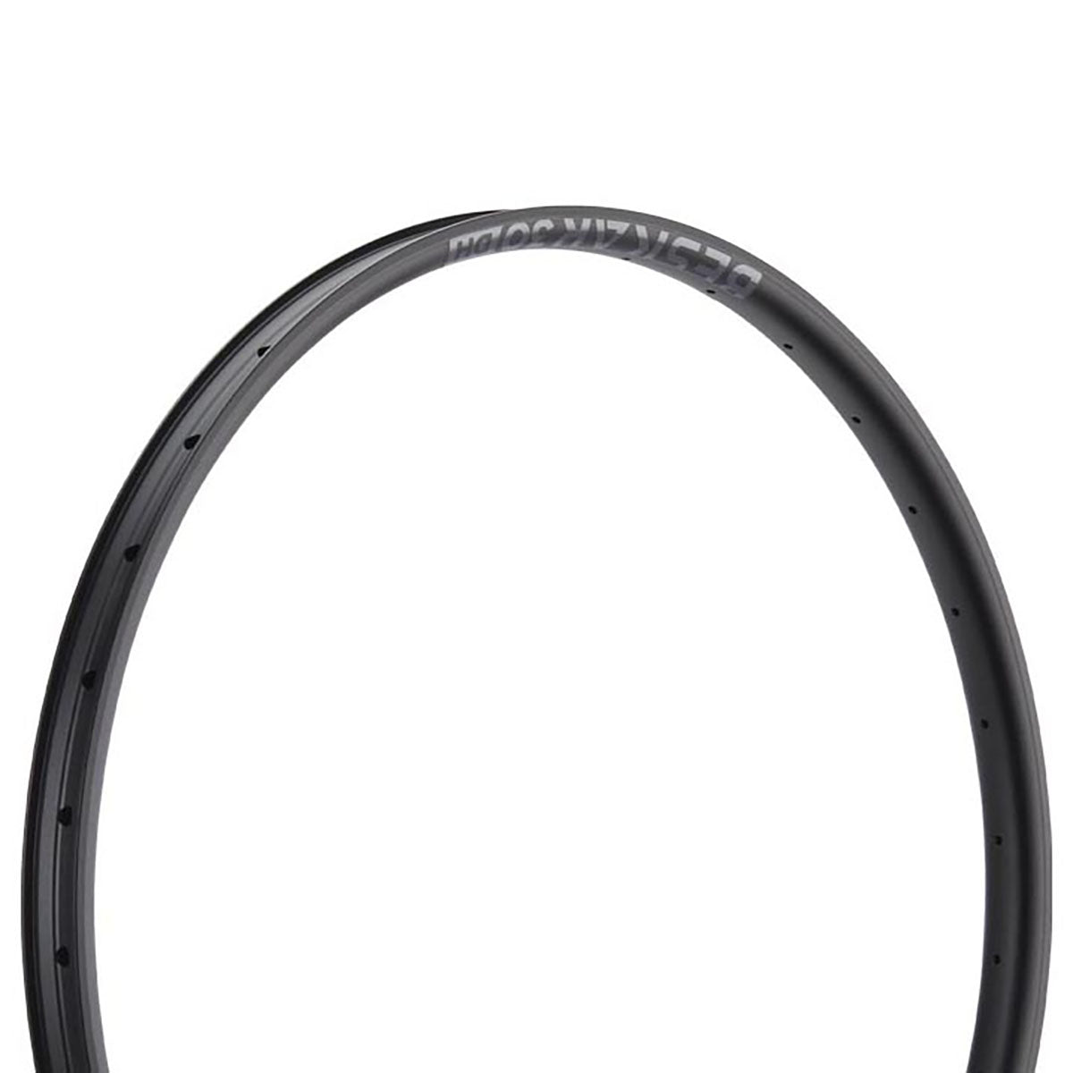 NEWMEN Beskar 30 DH Rim - Performance de Descente Premium