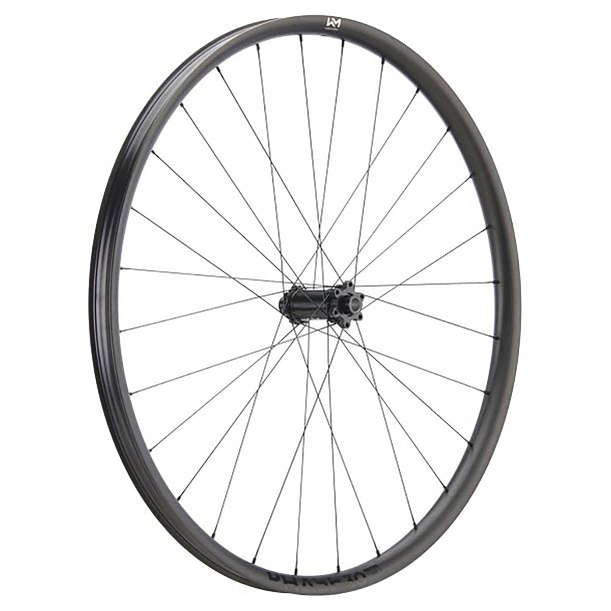 Roues avant NEWMEN Phase 30 - 29" 28h FADE SP 6B 15x110 - Trail