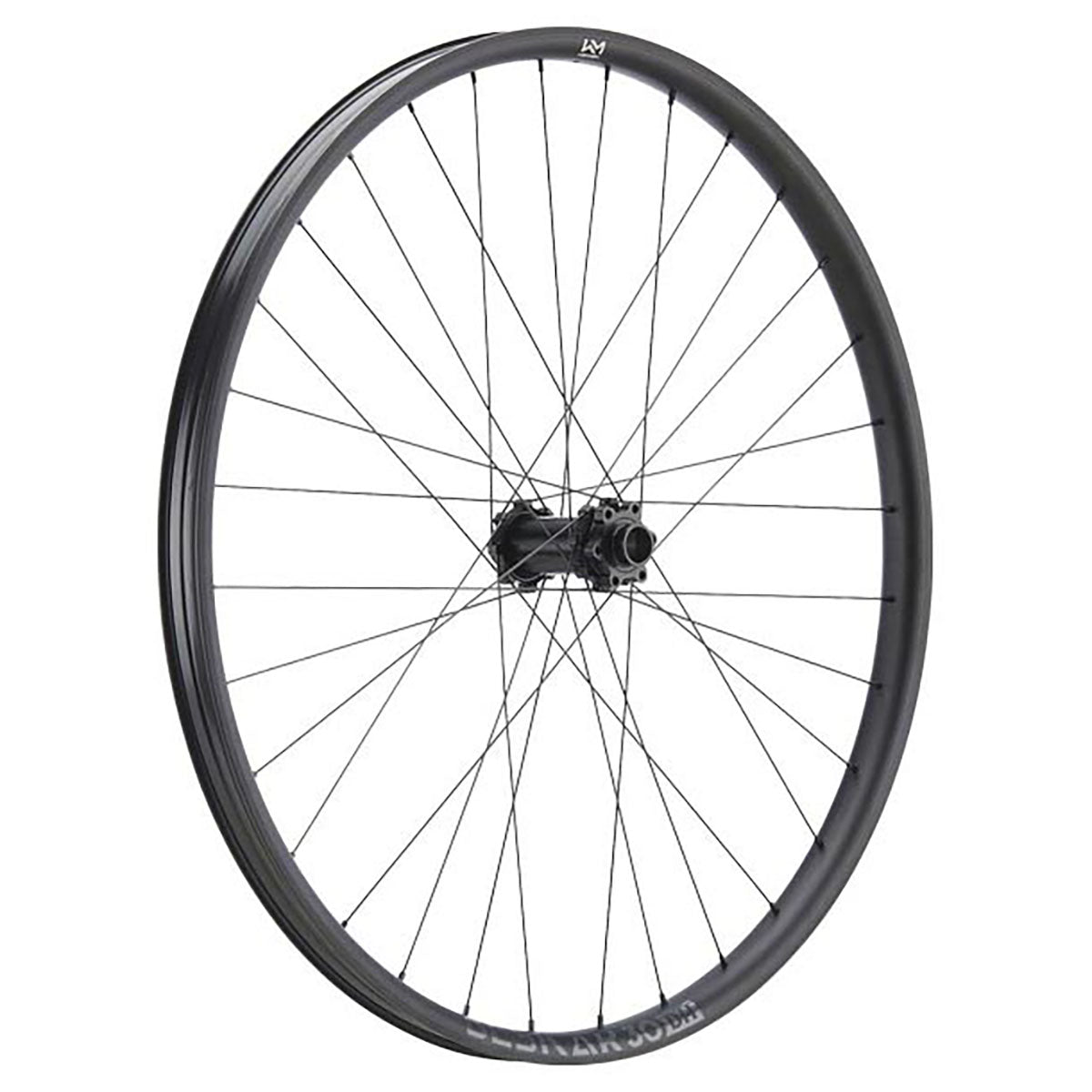 Roues avant NEWMEN Beskar 30 DH pour le VTT de descente