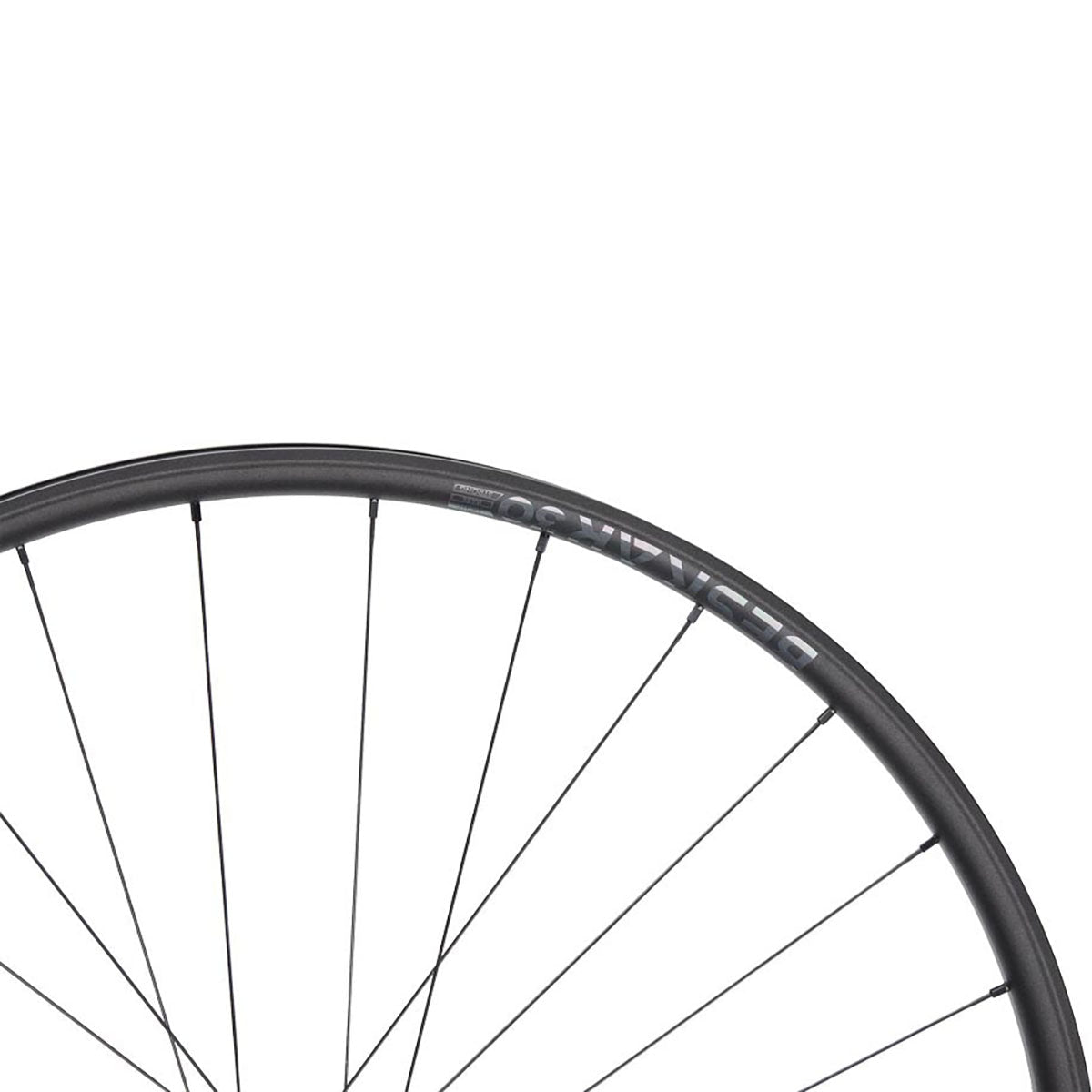 Rueda Trasera NEWMEN Beskar 30 - 29" 28h FADE SP 6B 12x148 XD