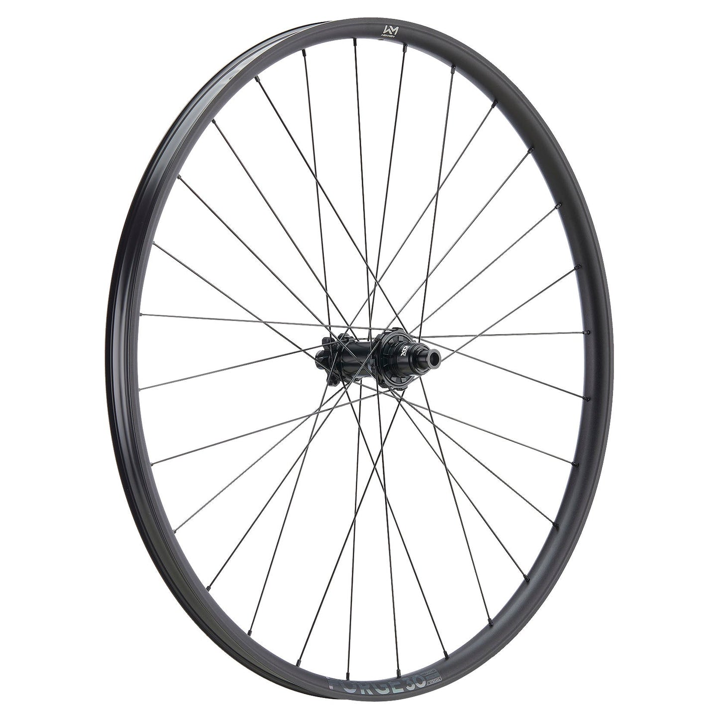 Rueda delantera NEWMEN Forge 30 29" 28h FADE SP 6B 15x110