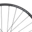 Rueda Trasera NEWMEN Forge 30 29" 28h FADE SP 6B 12x148 XD - Trail