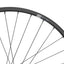 NEWMEN - Wheel (Rear) - Performance 30 Base | Trail - [D] - Korvel
