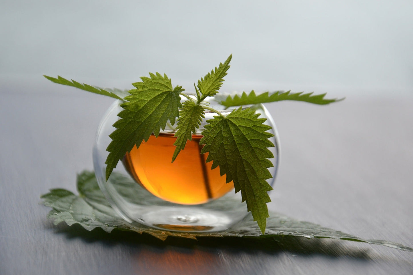 Premium Cut & Sifted Nettle Leaf