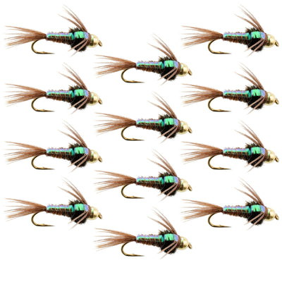 Premium Tungsten Flashback Pheasant Tail Nymphs - 12 Pack, Size 10 - Korvel