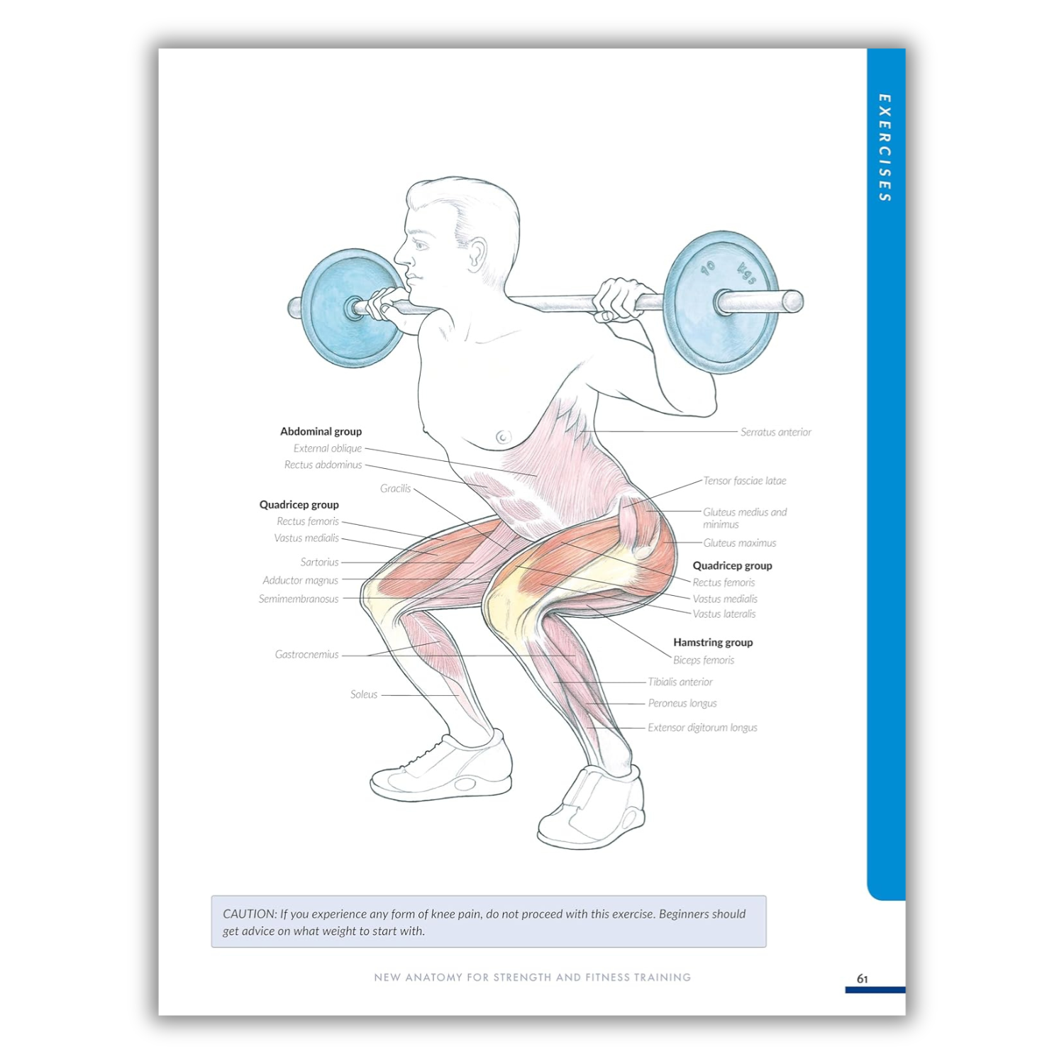 New Anatomy for Strength & Fitness Training: An Illustrated Guide to Your Muscles in Action Including Exercises Used in CrossFit (R), P90X (R), and Other Popular Fitness Programs (IMM Lifestyle Books) (Spiral-bound) - Korvel