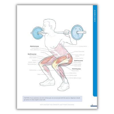 New Anatomy for Strength & Fitness Training: An Illustrated Guide to Your Muscles in Action Including Exercises Used in CrossFit (R), P90X (R), and Other Popular Fitness Programs (IMM Lifestyle Books) (Spiral-bound) - Korvel