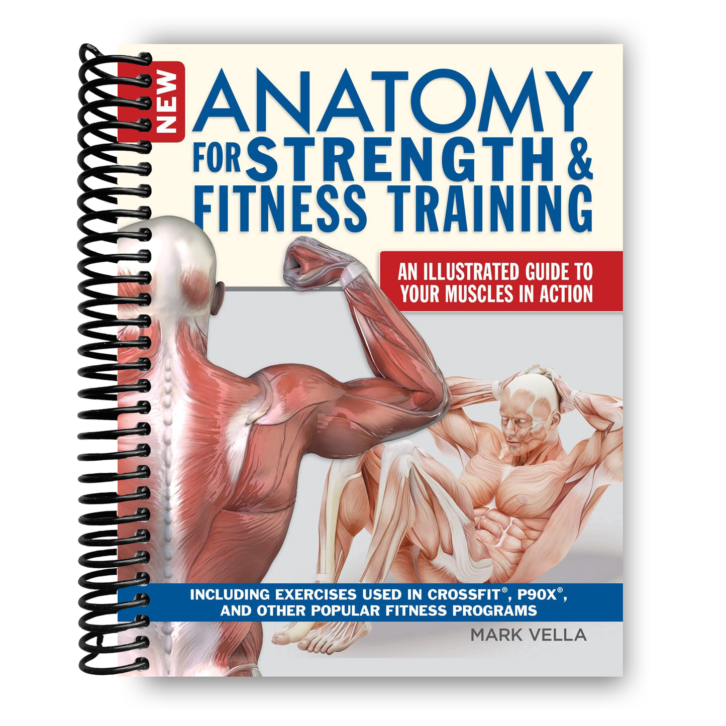 New Anatomy for Strength & Fitness Training: An Illustrated Guide to Your Muscles in Action Including Exercises Used in CrossFit (R), P90X (R), and Other Popular Fitness Programs (IMM Lifestyle Books) (Spiral-bound) - Korvel