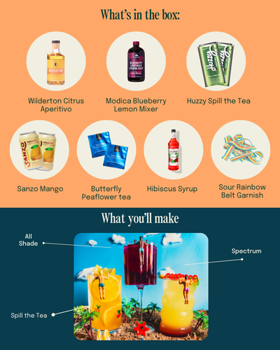 Vibrant Celebration Zero-Proof Cocktail Kit - Korvel