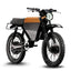 ONYX RCR Electric Bike Off Road Edition (Demo)