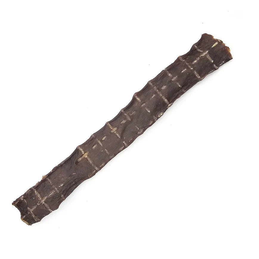 The Natural Dog Company - Bâton Flattie d'Autruche - 1 Compte