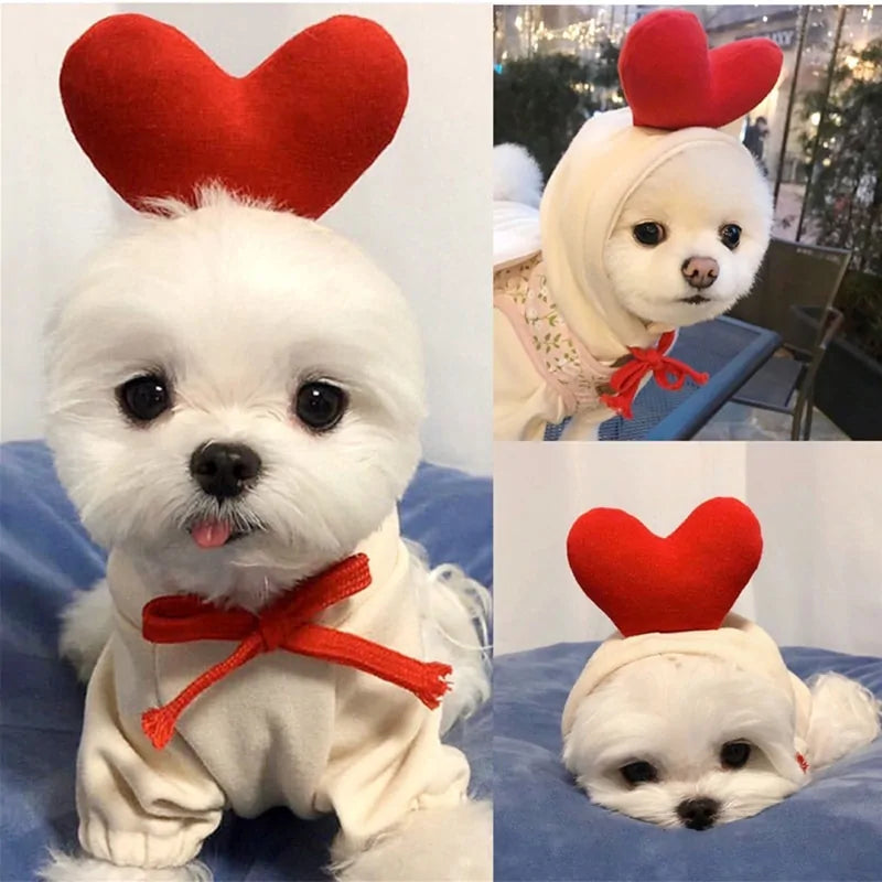 Manteau d'hiver pour chien à thème fruité