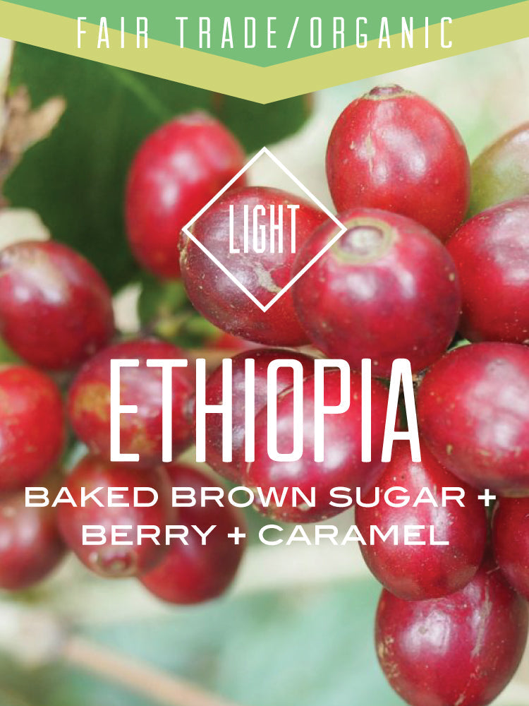 Café Naturel Équitable Bio d'Éthiopie Oromia