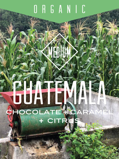 Organic Guatemala Huehuetenango Coffee