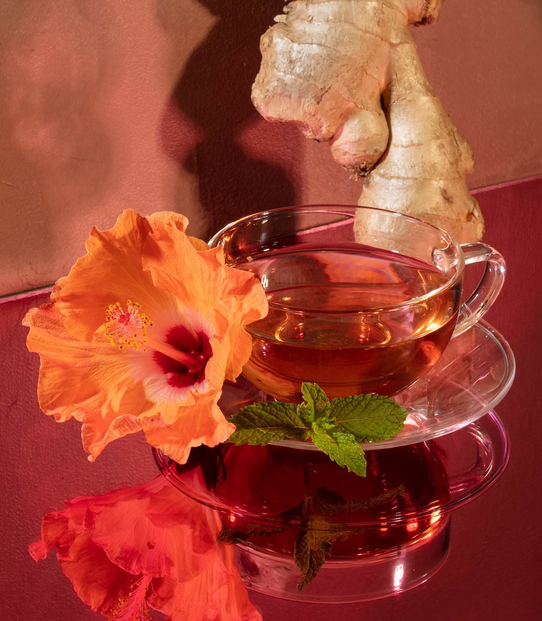 Infusión Orgánica de Hibisco y Jengibre