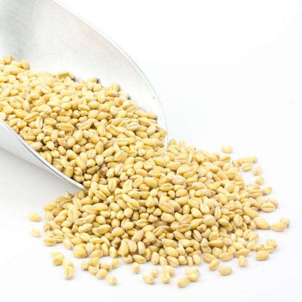 Organic Soft White Wheat Berries - Premium Quality