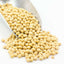 Organic Soy Beans - Premium Quality Legumes
