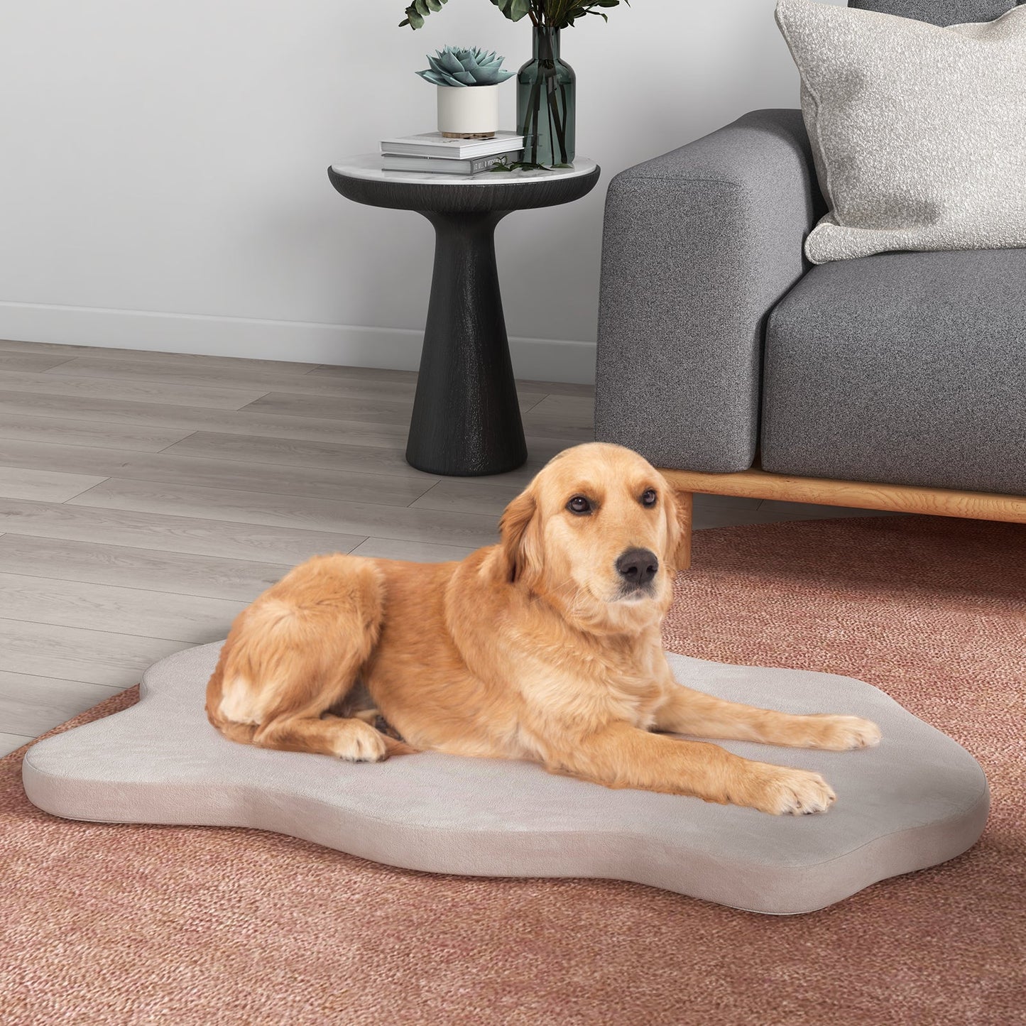 Premium Orthopedic Dog Bed with Memory Foam for Large Dogs - Beige