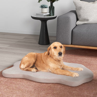 Lit Orthopédique Premium pour Chiens avec Mousse à Mémoire pour Grands Chiens - Beige