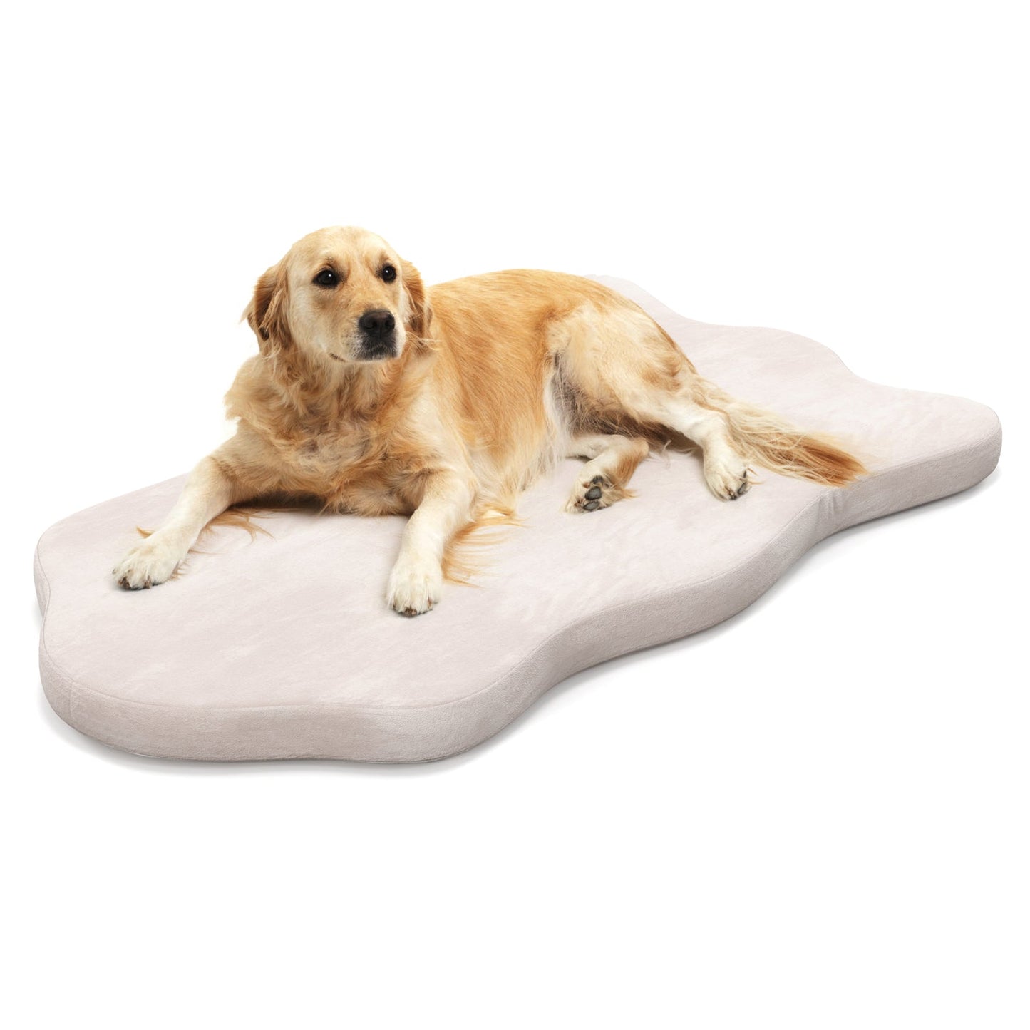 Premium Orthopedic Dog Bed with Memory Foam for Large Dogs - Beige