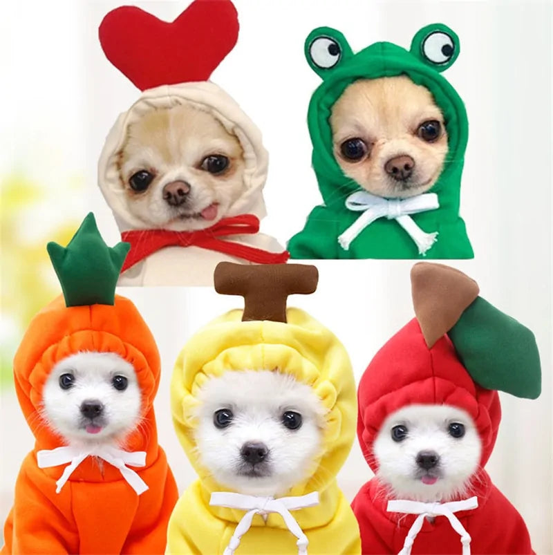 Manteau d'hiver pour chien à thème fruité