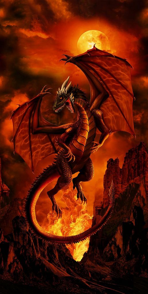 Fire Dragon Cotton Fabric Panel - 24" x 44"/45"