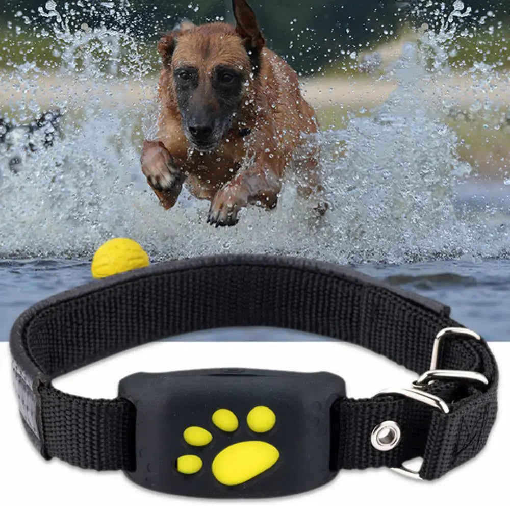Collier de suivi GPS pour animaux de compagnie Premium
