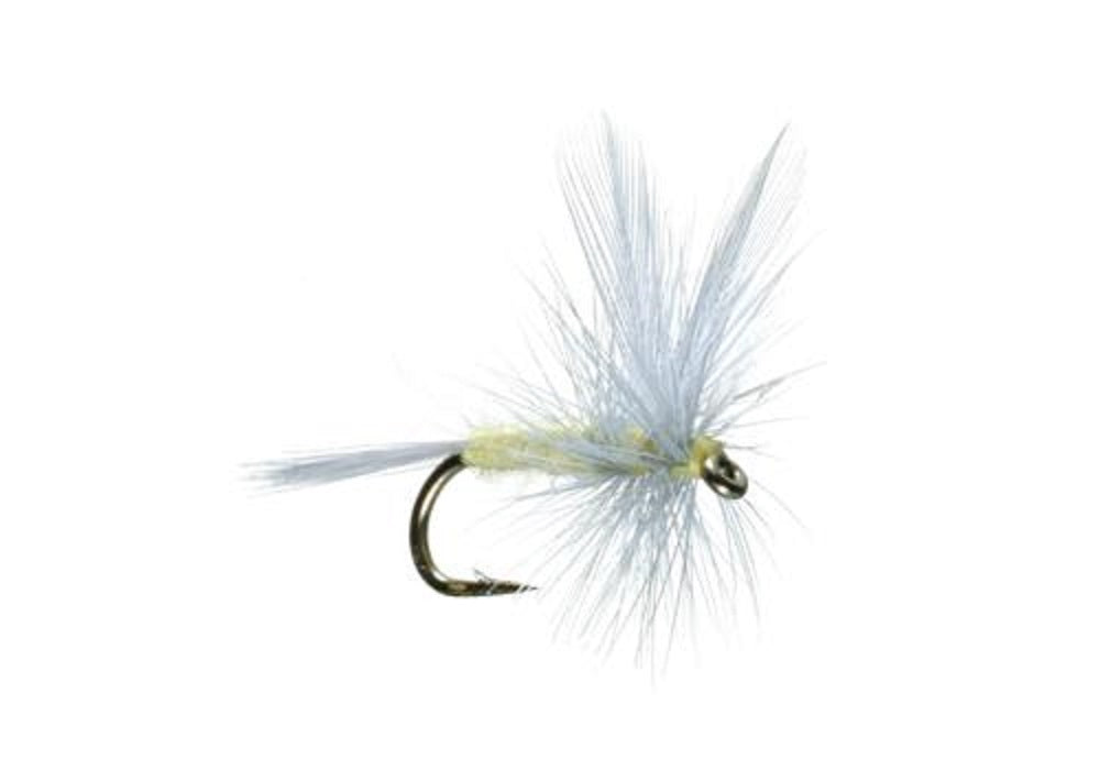 Essential Pale Morning Dun Dry Fly Set - 6 Size 16 Flies - Korvel