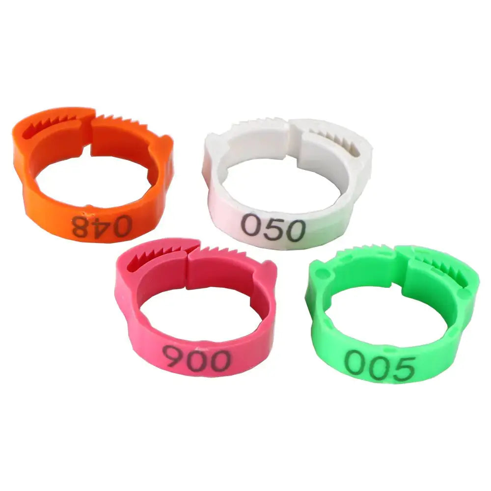 Anillos para patas de pollo - Edición Clucktastic