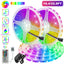 Rubans LED RGB flexibles de 32 pieds avec télécommande