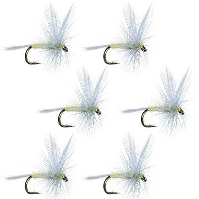 Essential Pale Morning Dun Dry Fly Set - 6 Size 16 Flies - Korvel