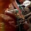 Knog Party Coil Cable Lock - Premium Bicycle Security