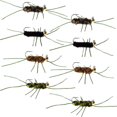 Premium Tungsten Bead Pat's Rubber Legs Euro Nymph Fly Assortment - 8 Size 10 Flies - Korvel